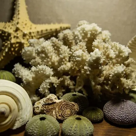 דירה Uzun Carsi Mira Loft