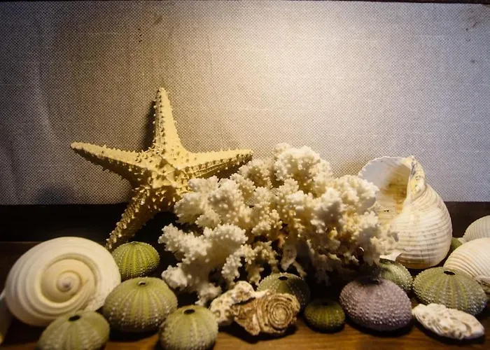 דירה Uzun Carsi Mira Loft קס