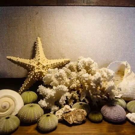 Apartment Uzun Carsi Mira Loft Kas